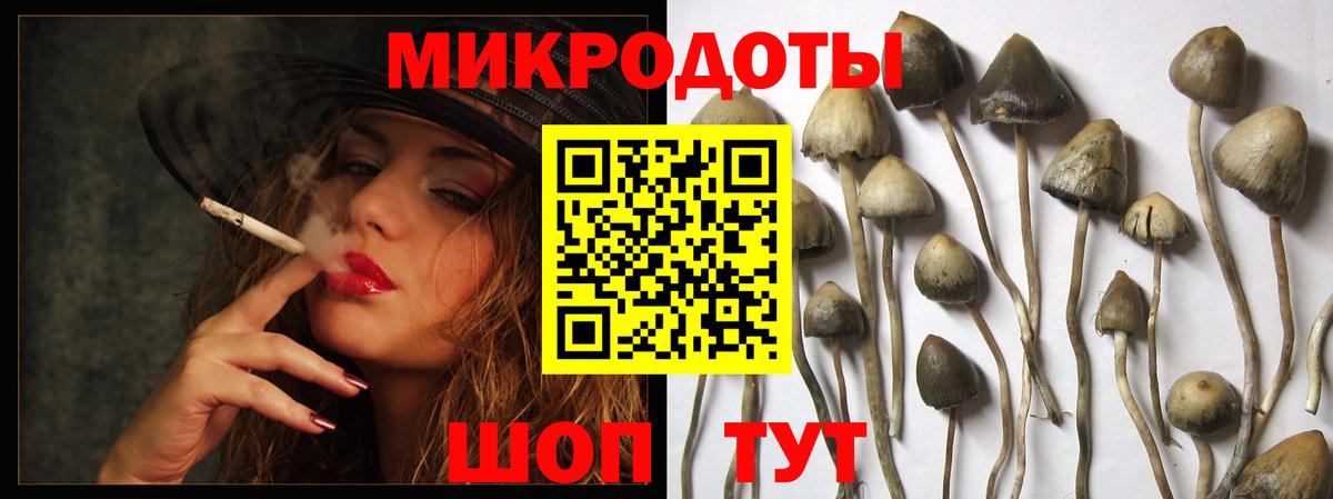 Галлюциногенные грибы мухоморы  Псилоцибиновые грибы Psilocybe  Сертолово  Вход с VPN 